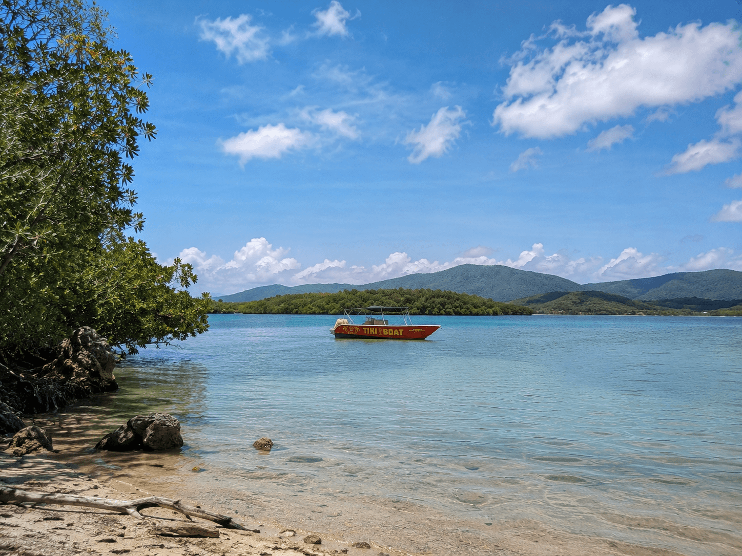 Excursion en bateau Tiki Boat — Grand Cul de Sac Marin, Guadeloupe