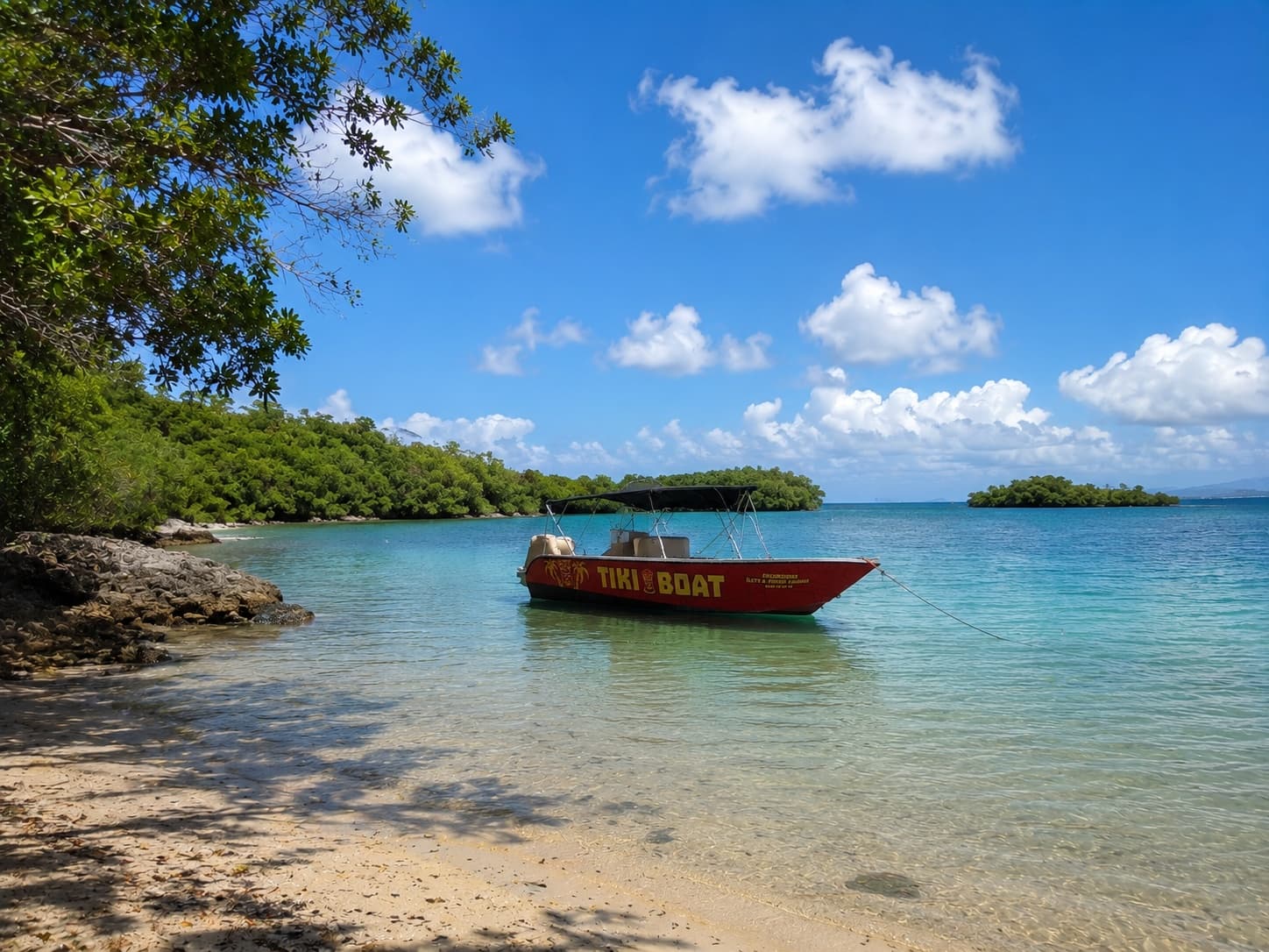 Privatisation du Bateau